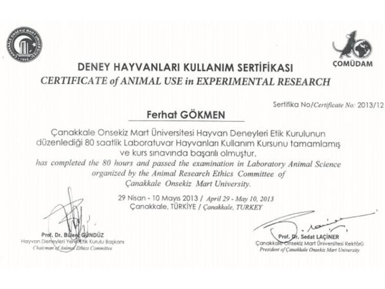 Sertifkalar